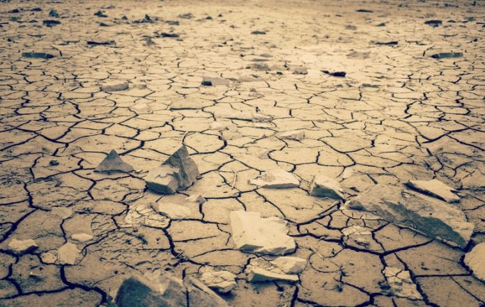 photo-1593366426174-1ae8d787bd86