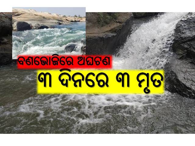 ବଣଭୋଜିରେ ଖୁସି: ଅସାବଧାନତା ଲାଗି ମୃତ୍ୟୁ