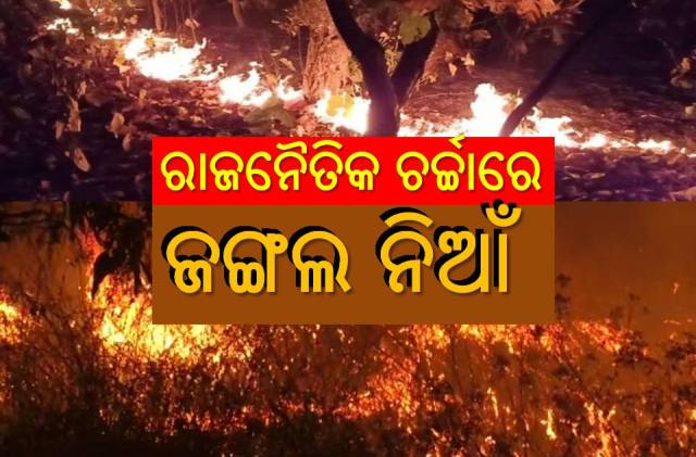 ଜଳୁଛି ଜଙ୍ଗଲ, ଚିନ୍ତାରେ ପ୍ରଶାସନ-ସରକାର