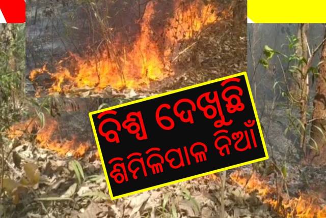 ବିପଦରେ ‘ଶିମିଳିପାଳ’! ନିଆଁ ବ୍ୟାପୁଛି