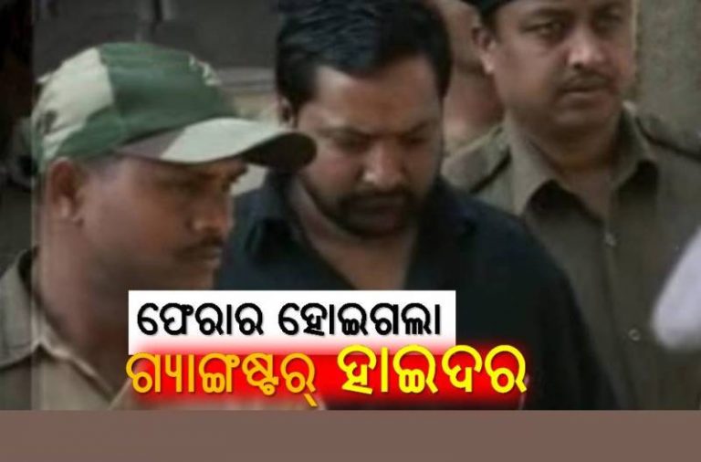 ପୁଣି ଚର୍ଚ୍ଚାରେ ଗ୍ୟାଙ୍ଗ୍‌ଷ୍ଟର ହାଇଦର, ଦିନ ଦ୍ୱିପ୍ରହରରେ ଦେଖାଇଲା ଚକ୍‌ମା