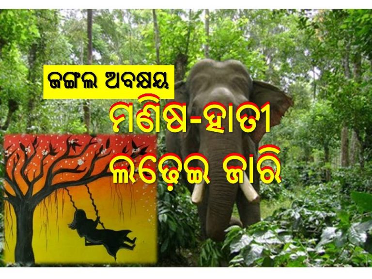 ବରଷକେ ଥରେ ଆସିଛି ରଜ, ବନରେ ଡାକୁନି ଗଜରାଜ