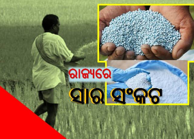 ସାର ଅଭାବ: ଖରିଫ ଧାନ ଅମଳ ନେଇ ଚିନ୍ତାରେ ଚାଷୀ