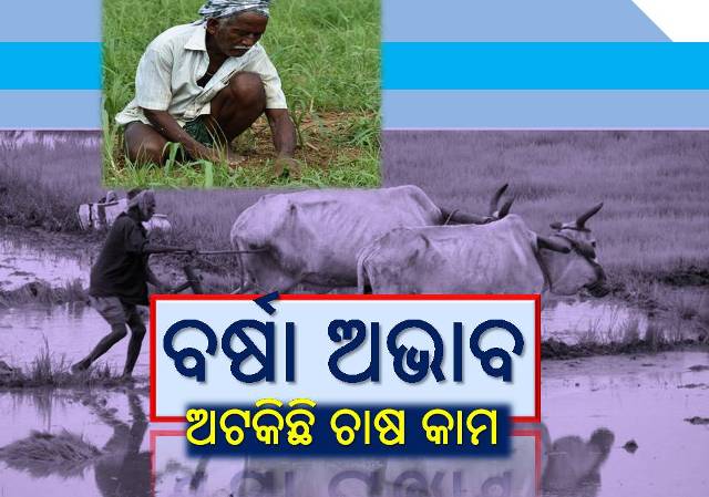 ବର୍ଷାକୁ ଚାହିଁ ରହିଛି ଚାଷୀ, ଅଟକିଛି ଚାଷ କାମ