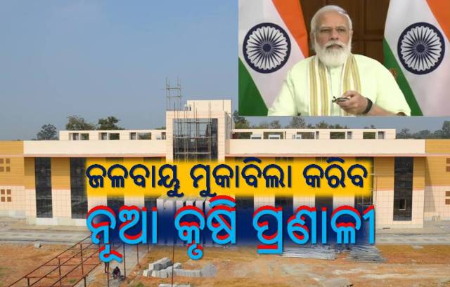 କୃଷି ବିକାଶରେ ୩୫ ପ୍ରଜାତିର ନୂଆ ଫସଲ