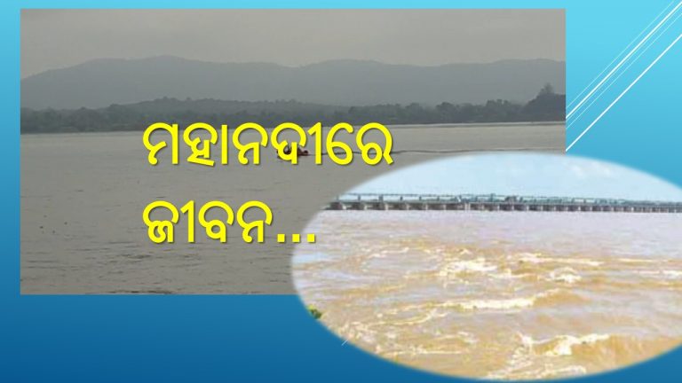 ମହାନଦୀରେ ଗୋଧୋଇବା: ସତର୍କ ନହେଲେ ବିପଦ