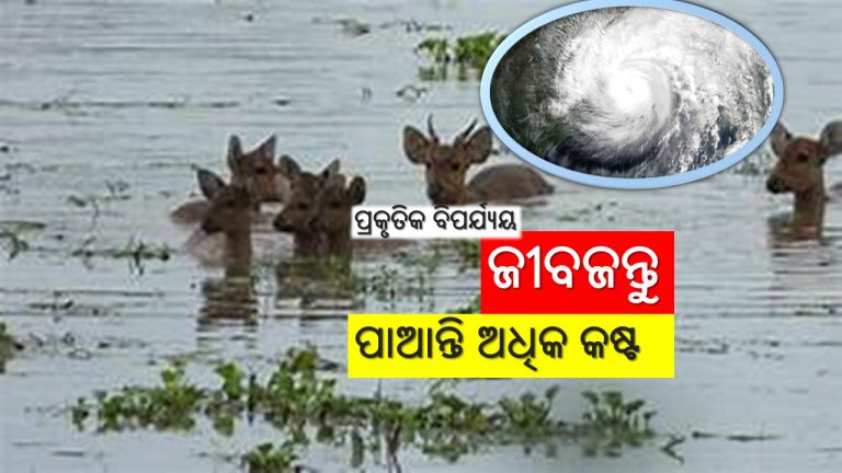 ପ୍ରାକୃତିକ ବିପର୍ଯ୍ୟୟ ବଢ଼ାଇ ଦିଏ ଦୁଃଖ