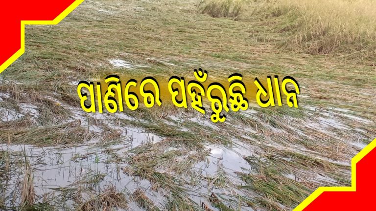 ବାତ୍ୟା ନ ଆସି ପ୍ରବଳ କ୍ଷତି