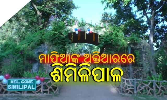 ଶିମିଳିପାଳ: ବନ୍ୟଜନ୍ତୁ ଓ ବନ କର୍ମଚାରୀ ଅସୁରକ୍ଷିତ