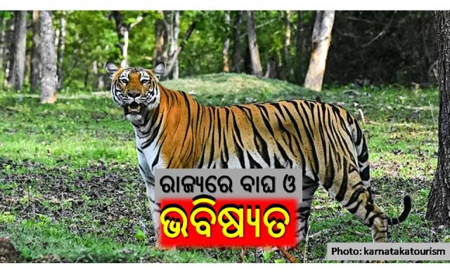 ୨୦୪୦ରେ ଓଡ଼ିଶାରେ ବାଘ ଥିବେ ତ?
