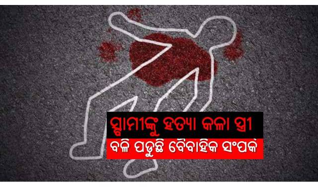 ସୀମା ଟପିଲା ସ୍ୱାମୀଙ୍କ ନିର୍ଯାତନା; ହତ୍ୟା କଲା ସ୍ତ୍ରୀ 