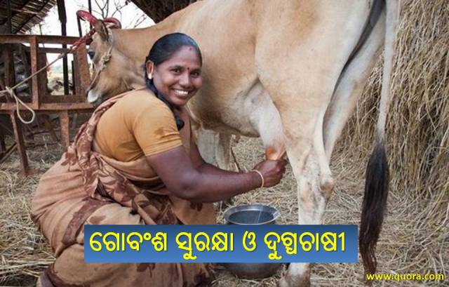 ଗୋବଂଶ ସୁରକ୍ଷା ଓ ଦୁଗ୍ଧଚାଷୀଙ୍କ ବିକାଶ