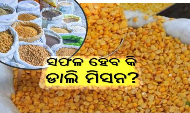ଡାଲି ଦର ବୃଦ୍ଧି: ଚିନ୍ତାରେ ଗରିବ ପରିବାର 