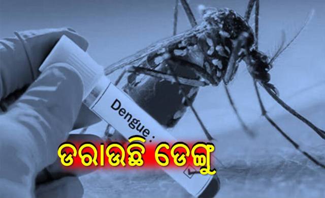 ମଶା କବଳରେ ଓଡ଼ିଶା: ଡେଙ୍ଗୁ ଓ ମ୍ୟାଲେରିଆ