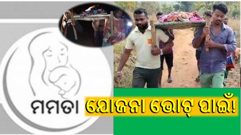 ବିକାଶର ଡେଙ୍ଗୁରା, ଗର୍ଭବତୀଙ୍କ ସଂଘର୍ଷ  ଜାରି 