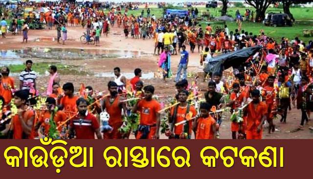 କାଉଁଡ଼ିଆଙ୍କ ପାଇଁ ଶାକାହାରୀ ଭୋଜନ ଚିନ୍ତା 